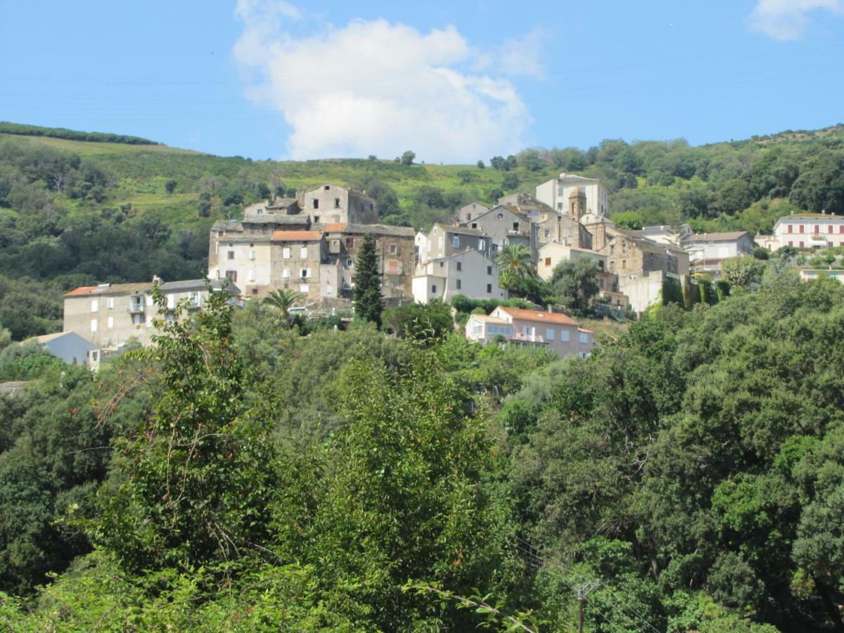 Paul Olivier Apartment Lucciana (Corsica)